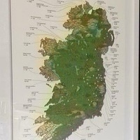 Seamus Ryan