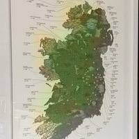 Seamus Ryan