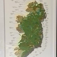 Seamus Ryan