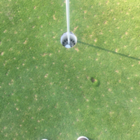 Gerardo Flores Deuchler