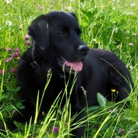 Gabi Schlünder-Eith