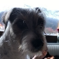 Volker Beggiato