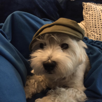 Jose Manuel Argüello