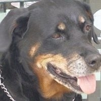 Juan Patrone Irazabal