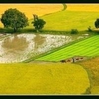 Nguyễn Chiến Thắng