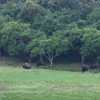 Venkatraghavan Gopalan