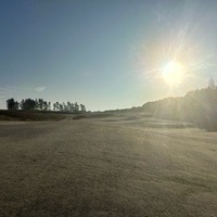 Christian Van Der Veer