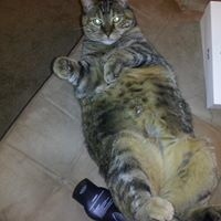 Riley Kitty Robinson-Jones