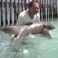 RODRIGO ACERO REYNAGA