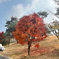 SangJoon CHA