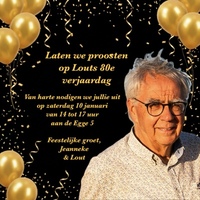 Lout Meijers