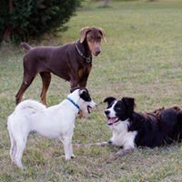 Alejandra Echeverria