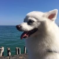 Miguel Àngel Barahona García