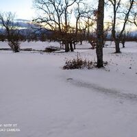 Felix Armando Delso Martinez