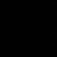 Antonio Vial Illanes