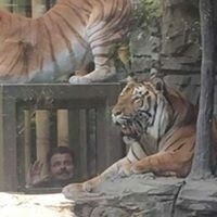 Kristófer Sigurgeirsson