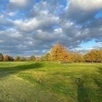 Alexandra Faßbender
