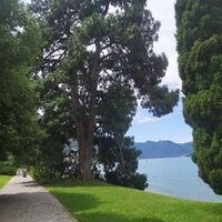 Jean-Pierre Chaplais