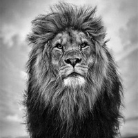 Kai Michael Kompisch