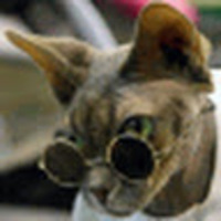 Юрий Маслов