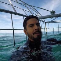 Rodrigo Armijo Gomez