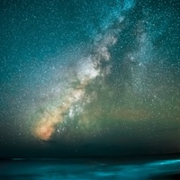Richard Lim