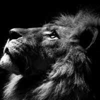 Juanma Juan Manuel Barrera