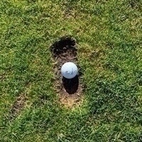 Christine von Freital