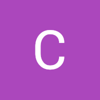 Cristina Saldaña Corrales