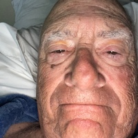 Harvey h. silverberg