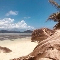 Michaela Hoffmeister