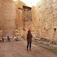 Feriel Cheikh Bornaz