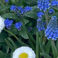 Sabine Stinus-Sandhacker