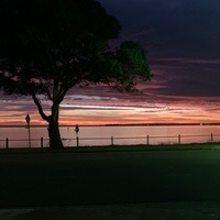 Wayne ODonnell Wayne ODonnell