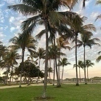 Constantin Julius Konrad