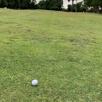 Luis Fernando Aguilar Elizondo