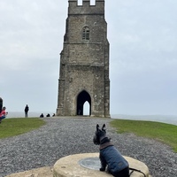 Nathan Price-Stephens