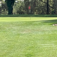 Alexandre Hermann Hermann