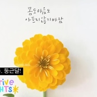 썬 flower