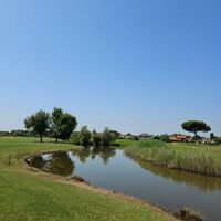 Thomas Brandstaetter