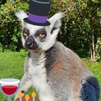 Yannick Barrenscheen