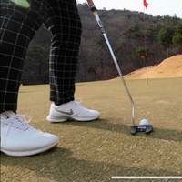 최성호 Golfer