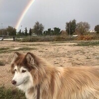 EUSTAQUIO MARTIN HERNANDEZ