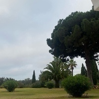 Mocasines Saltarines