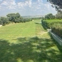 Luis Fernández-Lleó