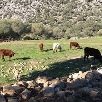 Matilde Violeta Prieto Gonzalez