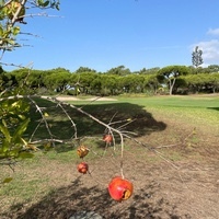 Bartholomäus Gabrys