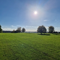 Alexander Schiffbauer