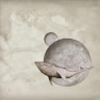 jhon esteban coral castellanos