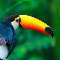 José Antonio Martínez Ríos